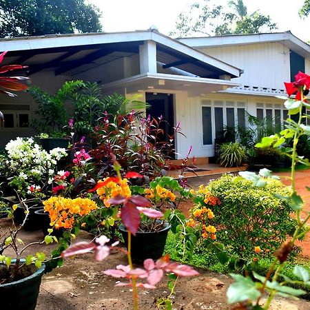 Molino Tourist Rest Anuradhapura Exterior photo