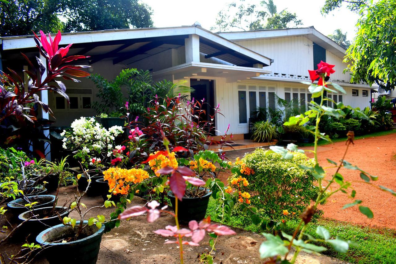 Molino Tourist Rest Anuradhapura Exterior photo